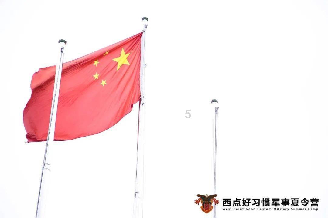 毒蛇一般体型都较小，咬了人又不能吃掉，为什么会主动攻击人类？游戏画面